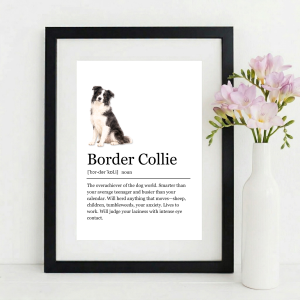 Funny BORDER COLLIE Definition Wall Art Print