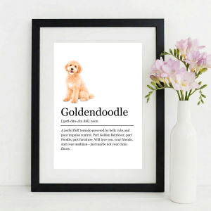 Funny GOLDENDOODLE Definition Wall Art Print