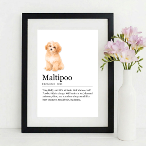 MALTIPOO FUNNY DOG MEANING WALL ART PRINT