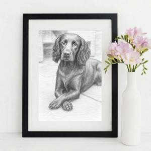 Personalised Timeless Lines Pet Sketch Portrait